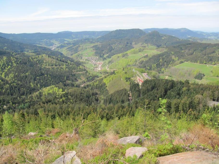 Ferienwohnung Schwarzwaldblick Bad Rippoldsau-Schapbach Exterior foto