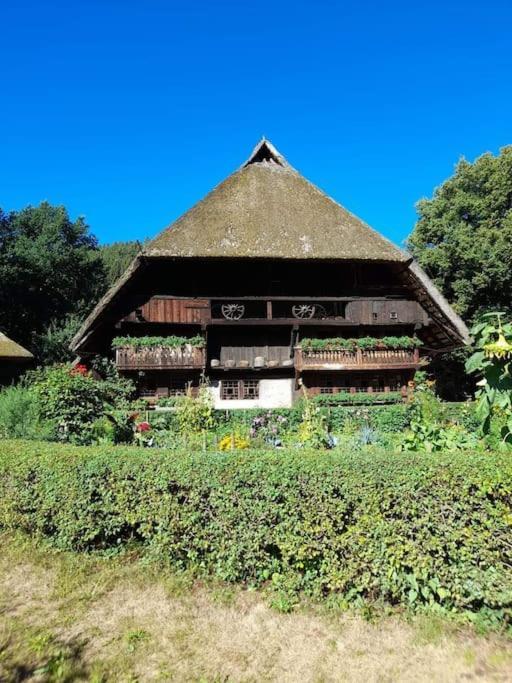 Ferienwohnung Schwarzwaldblick Bad Rippoldsau-Schapbach Exterior foto
